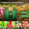 imageVIVOSUN 5Pack 7Gallon Colored Grow Bags 350G Thick nonwoven Fabric Pots with Handles for Flowers Fruits and Vegetables5710 Gallons Mix