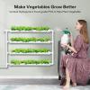imageVIVOSUN Hydroponics Growing System 90 Plant Sites 3 Layers 10 FoodGrade PVCU Pipes Hydroponic Gardening System Grow Kit with Water Pump Pump Timer Nest Basket and Sponge for Leafy Vegetables36Wall mounted