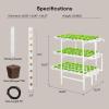 imageVIVOSUN Hydroponics Growing System 90 Plant Sites 3 Layers 10 FoodGrade PVCU Pipes Hydroponic Gardening System Grow Kit with Water Pump Pump Timer Nest Basket and Sponge for Leafy Vegetables108 Plant Sites