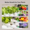 imageVIVOSUN Hydroponics Growing System 90 Plant Sites 3 Layers 10 FoodGrade PVCU Pipes Hydroponic Gardening System Grow Kit with Water Pump Pump Timer Nest Basket and Sponge for Leafy Vegetables54Wall mounted