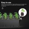 imageVIVOSUN 1Pack 40Cell Seed Starter Trays with 1 Set of LED Lights and 10quotx2075quot Seedling Heat Mat 36quot Higher Cover Adjustable Vents Drainage Holes Green Propagation Tray for Planting Seeds6Pack 240Cell