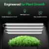 imageVIVOSUN T5 Grow Lights for Indoor Plants 5000K Full Spectrum 48W8 X 6W 1FT LED Plant Light Strip for Seed Starting Greenhouse Hydroponics SGS Compatible Linkable 8Pack2FT4 Pack