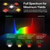image:imageVIVOSUN LumaLight 320W LED Grow Light Full Spectrum Indoor Plant Light with Deep Canopy Penetration Smart Dimmable LED Bar Lamp for Vegetables Herbs Flowers 3x3ft Coverage GrowHub Compatible5x5 750W