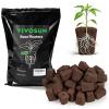 image:imageVIVOSUN Seed Rooter Plant Starter Plugs Support Robust Roots for Seedlings and Cuttings 40 Cubes Designed for VSeed Smart Box amp Seed Starter Trays