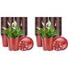 image:imageVIVOSUN 50 Pcs 6 Inch Plastic Plant Nursery Pots Seed Starting Pot Flower Plant Container for Seedlings Cuttings Transplanting Pack of 2
