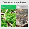 image:imageVIVOSUN 4ftx50ft 5oz DoubleLayered Weed Control Mat and 6 Inch 25Pack Landscape Staples Galvanized Steel Garden Stakes 11 Gauge UShaped Pins for Weed Barrier Fabric Soaker Hose Holding Fence