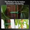 image:imageVIVOSUN Twist Ties 164 ft 50m PECoated Green Plant Ties with Cutter Reusable amp Flexible Tomate Ties for Plant Support Indoor Outdoor Gardening Cable Management Home Office Organization  Reusable amp Flexible Tomate Ties for Plant Support Indoor Outdoor Gardening Cable Management Home Office Organization164 Feet