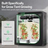 image:imageVIVOSUN FlexFeed DWC Hydroponic System Kit 4Gallon Deep Water Culture Grow Kit with Smart Controller AppControlled Water Temperature Monitoring Air Pump for Grow Tents 2Bucket