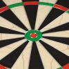 imageNodor Supamatch 5 Dartboard