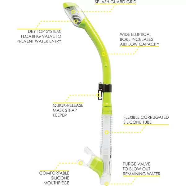 Cressi Adult Dry-Top Snorkel, Snorkeling Without Worry About Water - Tao Dry: Designed in Italy