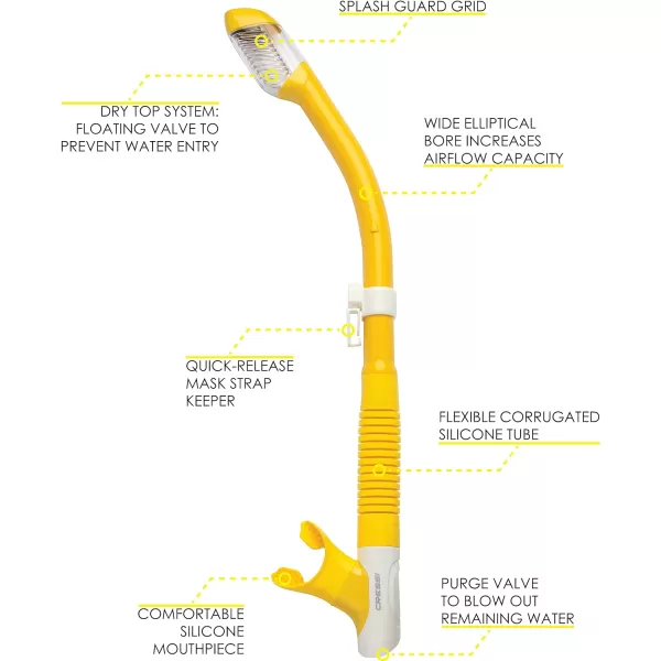 Cressi Adult Dry-Top Snorkel, Snorkeling Without Worry About Water - Tao Dry: Designed in Italy