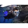 imageCressi Adult Snorkeling Kit Mask  Snorkel Dual Lens Mask Made of Soft Silicone Perfect Seal Ranger ampamp TaoClearDark Blue
