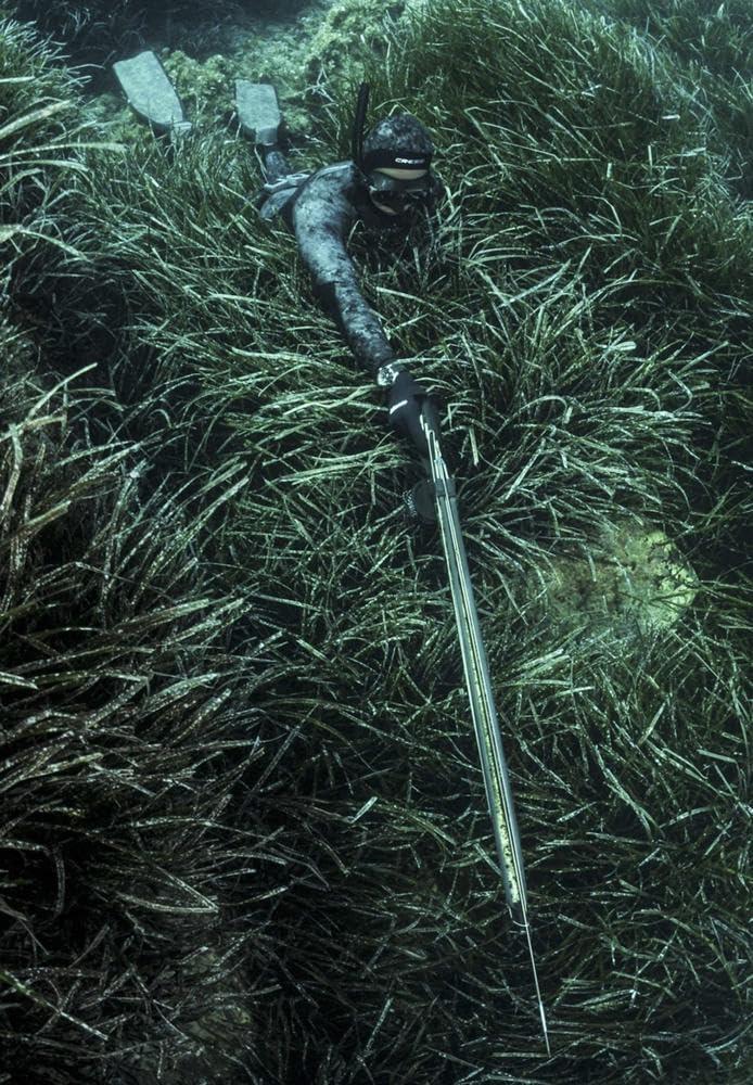 imageCRESSISpeargun BandsS30  13 mm