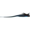 imageCRESSI CA182029 Snorkeling Swim Full Foot Fins RONDINELLA Kid Blade Over Foot Pocket Lightweight Polypropylene Blade Blue 2930 Foot Pocket Size 70 inches 178 cm