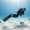 image:imageCressi Scuba Diving Fins  Reactive Open Heel with Bungee Strap  Reaction EBS Made in ItalyBlue
