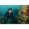 image:imageCressi Travelight BC Blue XLarge