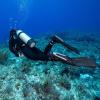 imageSCUBAPRO Seawing Supernova Diving FinsBlack