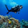 imageSCUBAPRO Seawing Supernova Diving FinsBlack