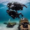 image:imageSCUBAPRO Seawing Nova Diving FinsBlack