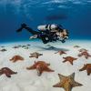 image:imageSCUBAPRO Seawing Nova Diving FinsBlack