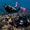 image:imageSCUBAPRO Seawing Nova Diving FinsPink