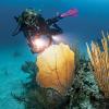 image:imageSCUBAPRO Seawing Nova Diving FinsPink