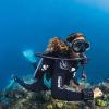 image:imageSCUBAPRO Seawing Nova Diving FinsTurquoise