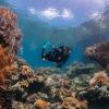 image:imageSCUBAPRO Seawing Nova Diving FinsTurquoise