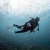 image:imageSCUBAPRO Seawing Nova Diving FinsWhite