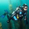 image:imageScubapro Twin Jet Max Open Heel Split FinsBlue