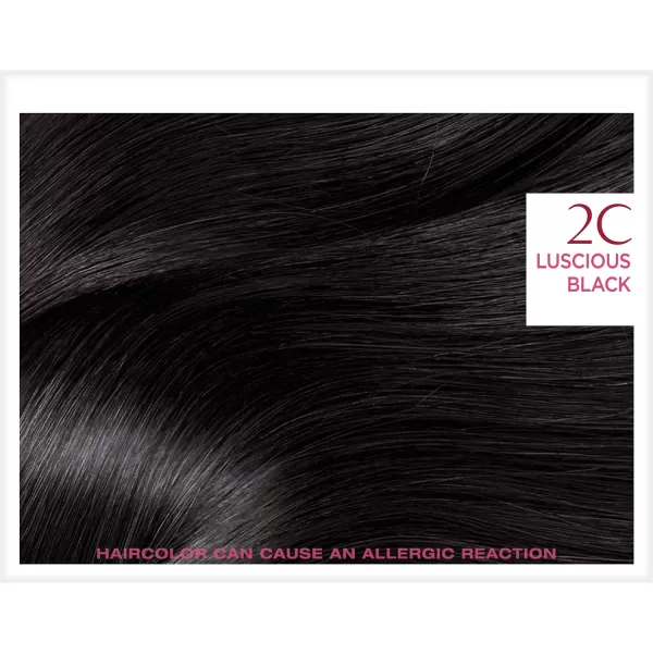 L'Oreal Paris Excellence Creme Permanent Hair Color, 8 Medium Blonde, 100 percent Gray Coverage Hair Dye, Pack of 2