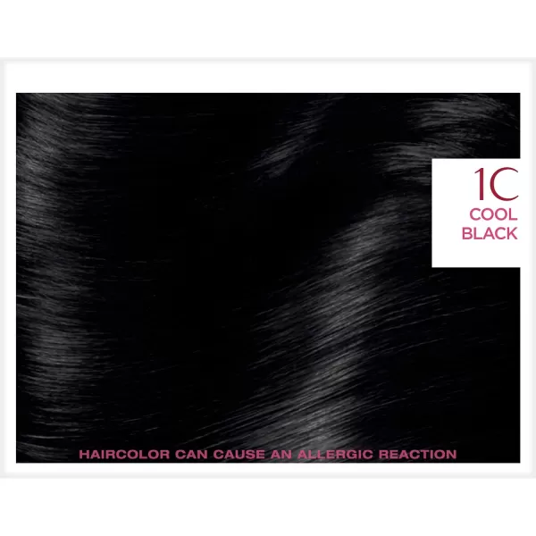 L'Oreal Paris Excellence Creme Permanent Hair Color, 8 Medium Blonde, 100 percent Gray Coverage Hair Dye, Pack of 2