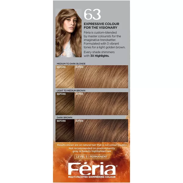L'Oreal Paris Feria Multi-Faceted Shimmering Permanent Hair Color, B61 Downtown Brown, Hair Dye Kit, Pack of 2)