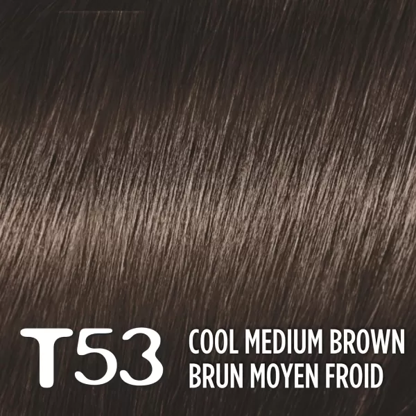 L'Oreal Paris Feria Multi-Faceted Shimmering Permanent Hair Color, B61 Downtown Brown, Hair Dye Kit, Pack of 2)