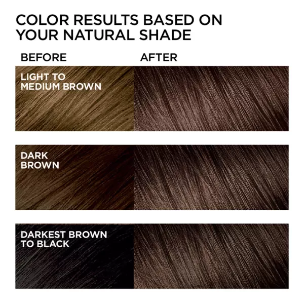 L'Oreal Paris Feria Multi-Faceted Shimmering Permanent Hair Color, B61 Downtown Brown, Hair Dye Kit, Pack of 2