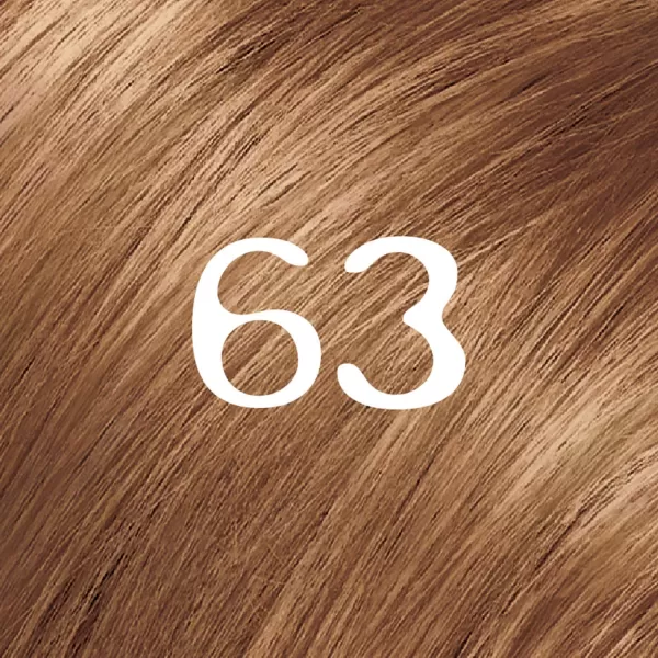 L'Oreal Paris Feria Multi-Faceted Shimmering Permanent Hair Color, B61 Downtown Brown, Hair Dye Kit, Pack of 2)