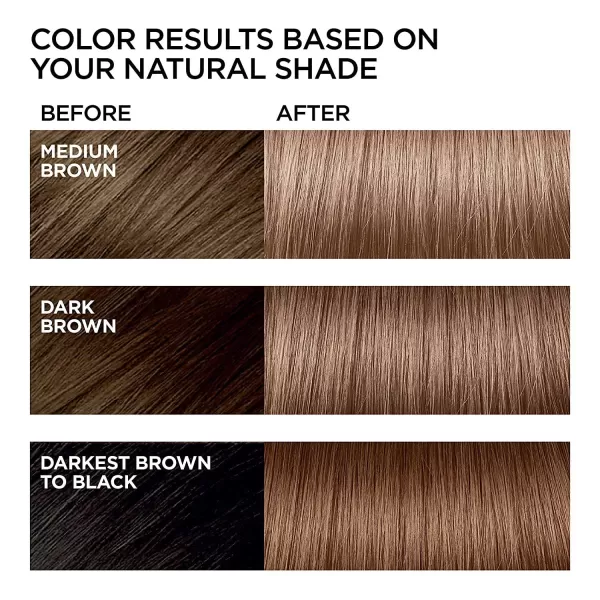 L'Oreal Paris Feria Multi-Faceted Shimmering Permanent Hair Color, B61 Downtown Brown, Hair Dye Kit, Pack of 2)