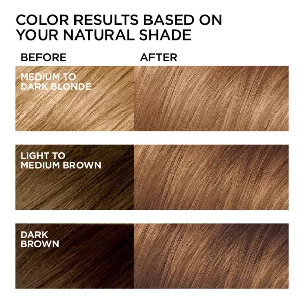 L'Oreal Paris Feria Multi-Faceted Shimmering Permanent Hair Color, B61 Downtown Brown, Hair Dye Kit, Pack of 2)