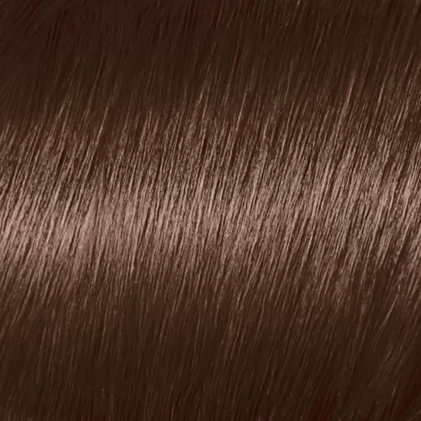 L'Oreal Paris Feria Multi-Faceted Shimmering Permanent Hair Color, B61 Downtown Brown, Hair Dye Kit, Pack of 2