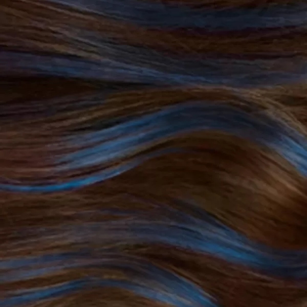 L'Oreal Paris Hair Makeup Temporary 1-Day Hair Color for Brunettes, Blue 60, 1 Fl Oz