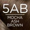 imageLOreal Paris Excellence Creme Permanent Hair Color 4 Dark Brown 100 percent Gray Coverage Hair Dye Pack of 15AB Mocha Ashe Brown