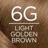 imageLOreal Paris Excellence Creme Permanent Hair Color 4 Dark Brown 100 percent Gray Coverage Hair Dye Pack of 16G Light Golden Brown
