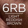 imageLOreal Paris Excellence Creme Permanent Hair Color 4 Dark Brown 100 percent Gray Coverage Hair Dye Pack of 16RB Light Reddish Brown