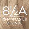 imageLOreal Paris Excellence Creme Permanent Hair Color 4 Dark Brown 100 percent Gray Coverage Hair Dye Pack of 185A Champagne Blonde