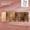 imageLOral Paris Excellence Universal Nudes Permanent Hair Color Ammonia Free Hair Dye for Gray Hair Coverage 5N Natural Brown 1 Hair Dye Kit7N Natural Dark Blonde