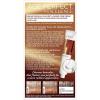 imageLOreal Paris Age Perfect Permanent Hair Color 9N Light Natural Blonde 1 kit6CB Light Soft Chesnut Brown