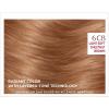 imageLOreal Paris Age Perfect Permanent Hair Color 9N Light Natural Blonde 1 kit6CB Light Soft Chesnut Brown