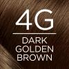 imageLOreal Paris Excellence Crme Permanent Hair Color 4A Dark Ash Brown Pack of 34G Dark Golden Brown
