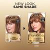 imageLOreal Paris Superior Preference Luminous FadeDefying Permanent Hair Color Hair Dye For Up to 9 Weeks of Radiance Medium Ash Brown 5A 1 Hair Dye Kit Pack of 26AM Light Amber Brown