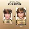 imageLOreal Paris Superior Preference Luminous FadeDefying Permanent Hair Color Hair Dye For Up to 9 Weeks of Radiance Medium Ash Brown 5A 1 Hair Dye Kit Pack of 265G Lightest Golden Brown